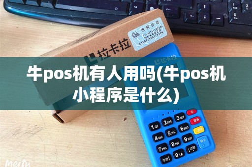 牛pos机有人用吗(牛pos机小程序是什么)