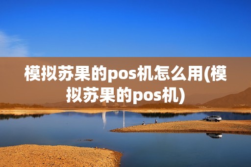 模拟苏果的pos机怎么用(模拟苏果的pos机)