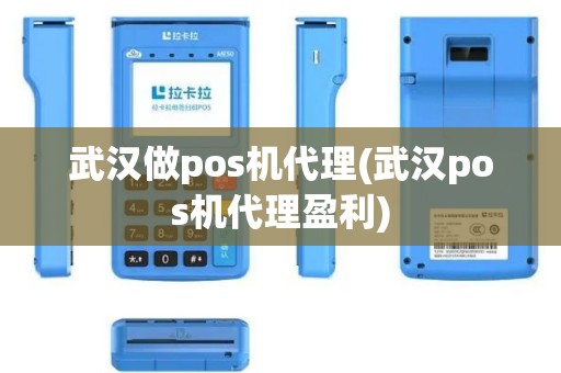 武汉做pos机代理(武汉pos机代理盈利)
