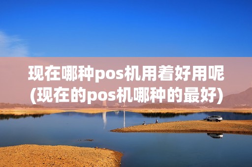 现在哪种pos机用着好用呢(现在的pos机哪种的最好)