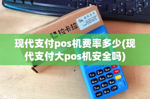 现代支付pos机费率多少(现代支付大pos机安全吗)