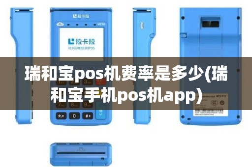 瑞和宝pos机费率是多少(瑞和宝手机pos机app)