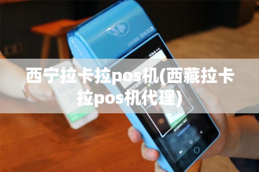 西宁拉卡拉pos机(西藏拉卡拉pos机代理)