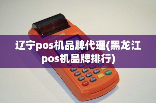 辽宁pos机品牌代理(黑龙江pos机品牌排行)