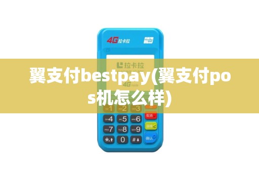 翼支付bestpay(翼支付pos机怎么样)