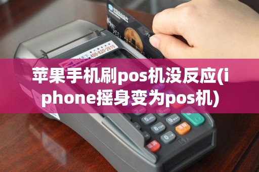 苹果手机刷pos机没反应(iphone摇身变为pos机)