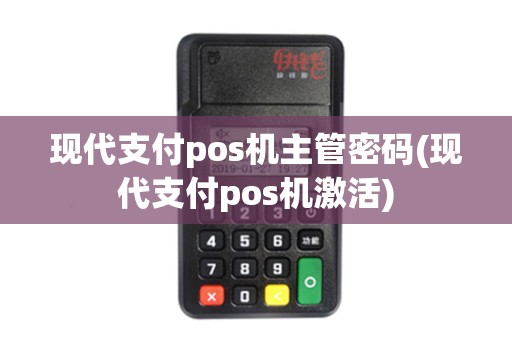 现代支付pos机主管密码(现代支付pos机激活)