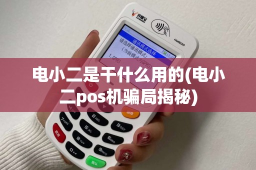 电小二是干什么用的(电小二pos机骗局揭秘)