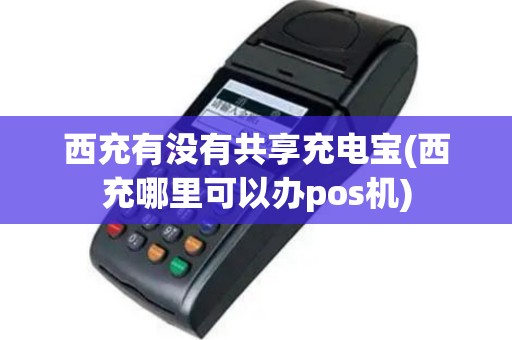 西充有没有共享充电宝(西充哪里可以办pos机)