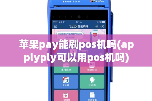 苹果pay能刷pos机吗(applyply可以用pos机吗)
