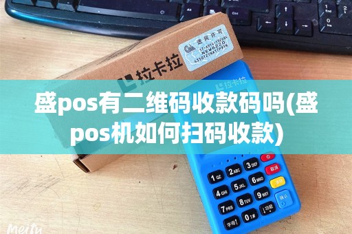 盛pos有二维码收款码吗(盛pos机如何扫码收款)