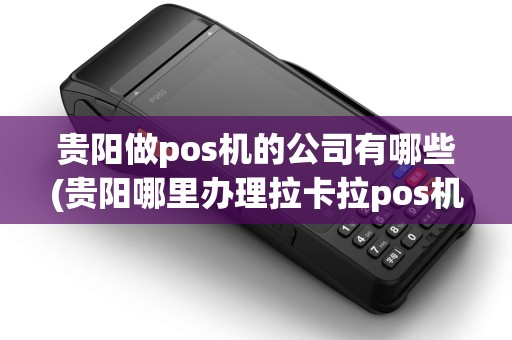 贵阳做pos机的公司有哪些(贵阳哪里办理拉卡拉pos机)