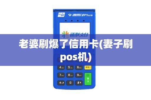 老婆刷爆了信用卡(妻子刷pos机)