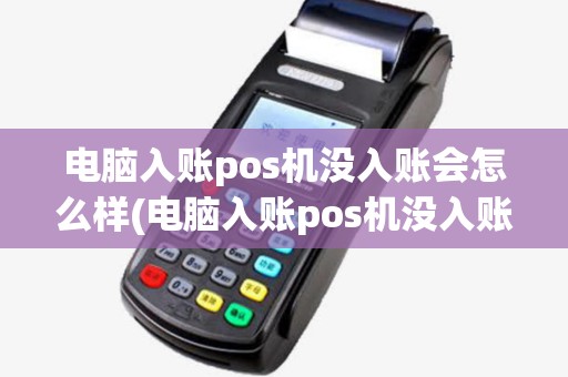 电脑入账pos机没入账会怎么样(电脑入账pos机没入账)