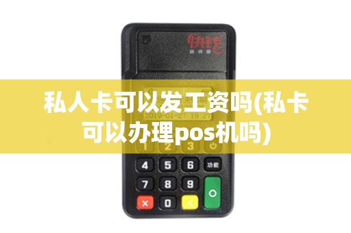 私人卡可以发工资吗(私卡可以办理pos机吗)