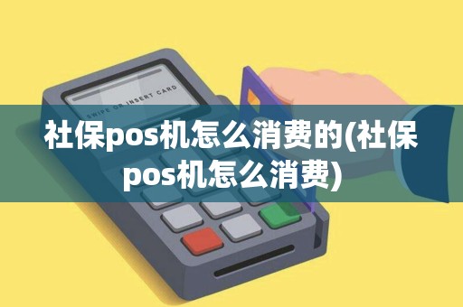 社保pos机怎么消费的(社保pos机怎么消费)