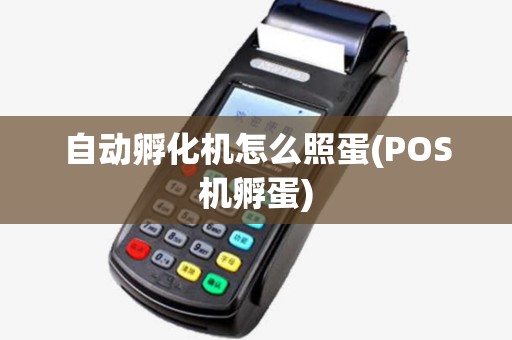 自动孵化机怎么照蛋(POS机孵蛋)