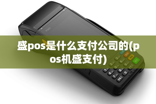 盛pos是什么支付公司的(pos机盛支付)