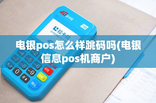 电银pos怎么样跳码吗(电银信息pos机商户)