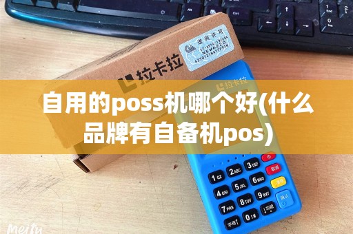 自用的poss机哪个好(什么品牌有自备机pos)
