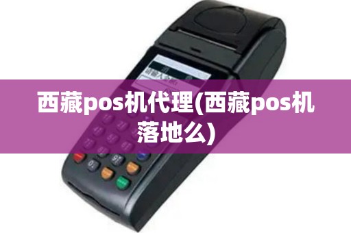 西藏pos机代理(西藏pos机落地么)