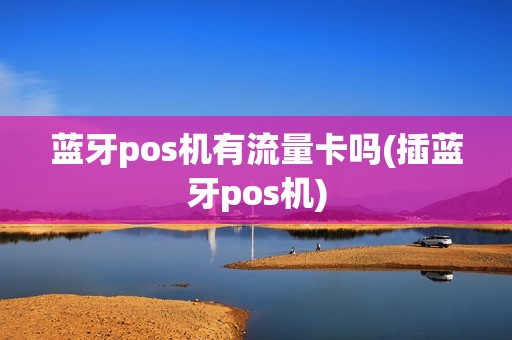 蓝牙pos机有流量卡吗(插蓝牙pos机)