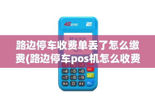 路边停车收费单丢了怎么缴费(路边停车pos机怎么收费)