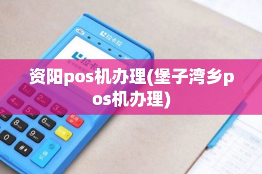 资阳pos机办理(堡子湾乡pos机办理)