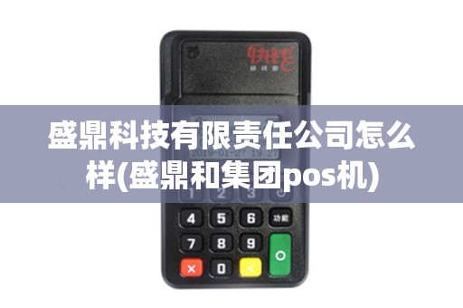 盛鼎科技有限责任公司怎么样(盛鼎和集团pos机)
