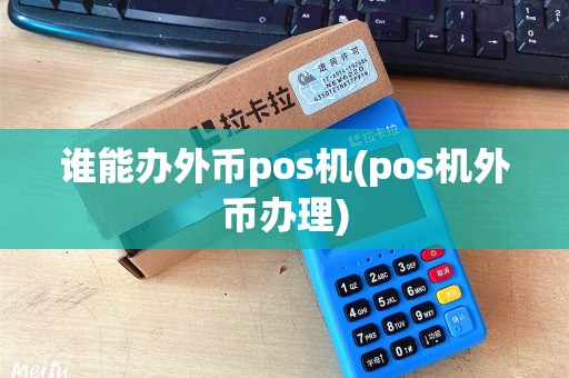 谁能办外币pos机(pos机外币办理)