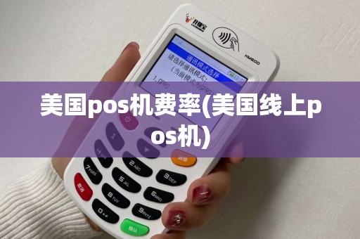 美国pos机费率(美国线上pos机)
