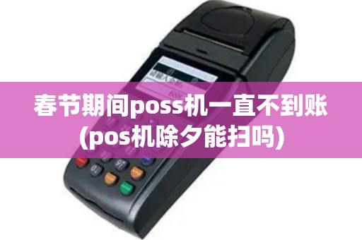 春节期间poss机一直不到账(pos机除夕能扫吗)