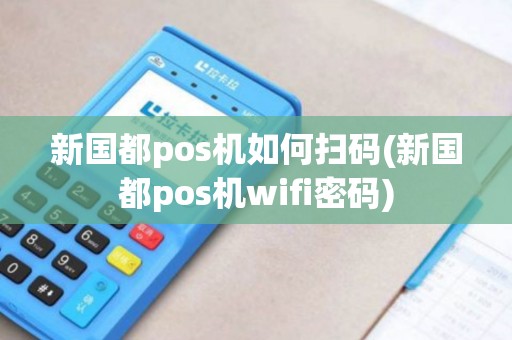 新国都pos机如何扫码(新国都pos机wifi密码)