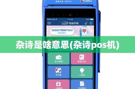 杂诗是啥意思(杂诗pos机)
