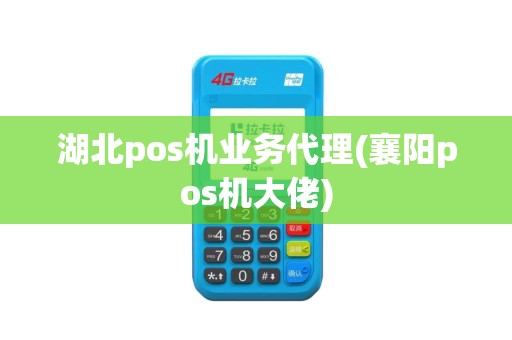 湖北pos机业务代理(襄阳pos机大佬)