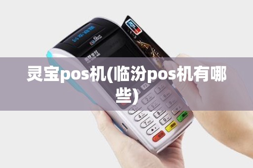 灵宝pos机(临汾pos机有哪些)
