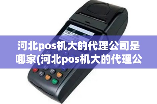 河北pos机大的代理公司是哪家(河北pos机大的代理公司)