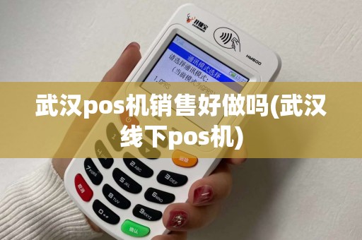 武汉pos机销售好做吗(武汉线下pos机)