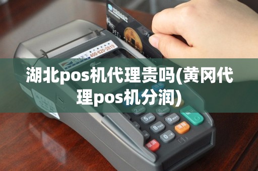 湖北pos机代理贵吗(黄冈代理pos机分润)