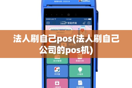 法人刷自己pos(法人刷自己公司的pos机)