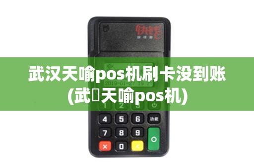 武汉天喻pos机刷卡没到账(武漢天喻pos机)