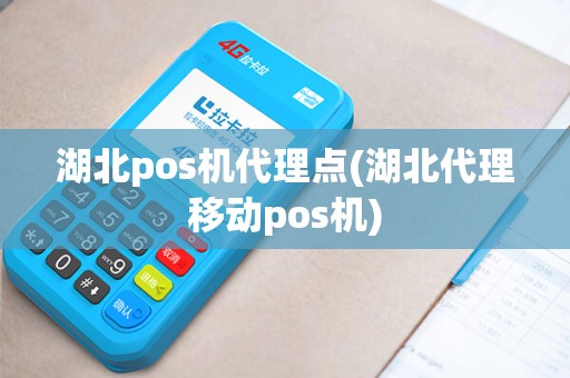 湖北pos机代理点(湖北代理移动pos机)