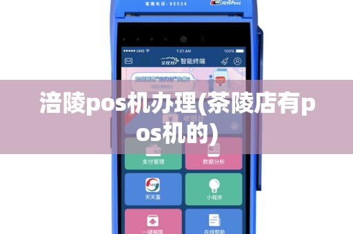 涪陵pos机办理(茶陵店有pos机的)