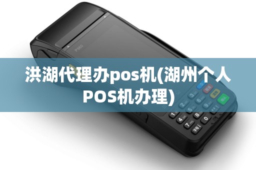 洪湖代理办pos机(湖州个人POS机办理)