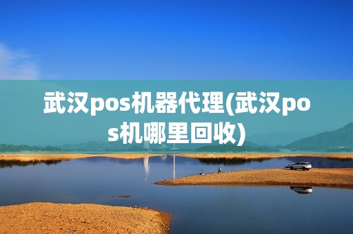 武汉pos机器代理(武汉pos机哪里回收)