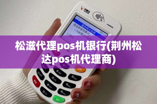 松滋代理pos机银行(荆州松达pos机代理商)