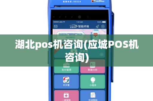 湖北pos机咨询(应城POS机咨询)