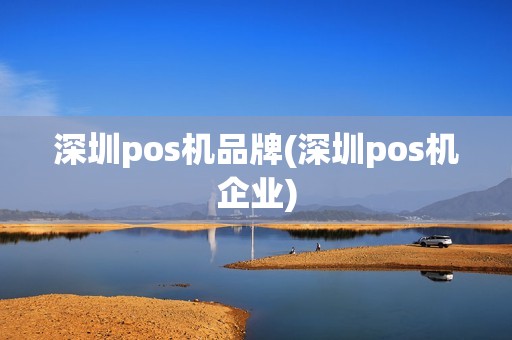 深圳pos机品牌(深圳pos机企业)