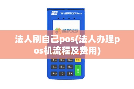 法人刷自己pos(法人办理pos机流程及费用)