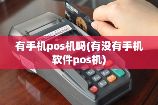 有手机pos机吗(有没有手机软件pos机)
